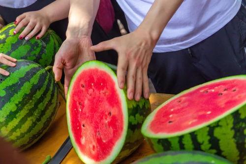 武汉大学免费吃瓜,免费瓜果盛宴，共享甜蜜时光